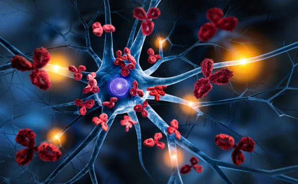 Understanding Functional Medicine: A Root-Cause Approach to Healing